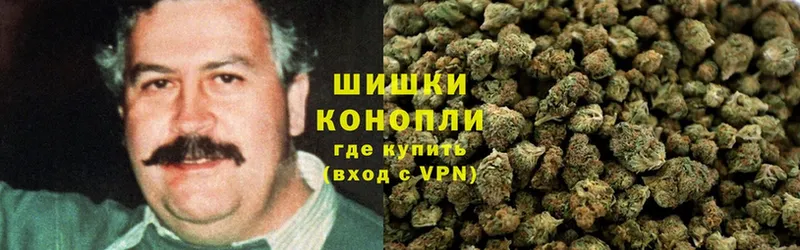 Конопля THC 21%  hydra ссылки  мориарти наркотические препараты  цена наркотик  Белая Холуница 